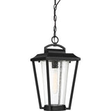 Nuvo Lighting 60-6514 Lakeview Outdoor Hanging Lantern - Aged Bronze / Glass