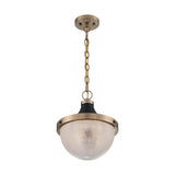Nuvo Lighting 60-7060 Faro Down Light Pendant - Burnished Brass / Black Accents
