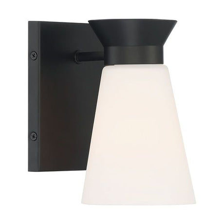 Nuvo Lighting 60-7311 Caleta 1 Bulb Wall Sconce - Black