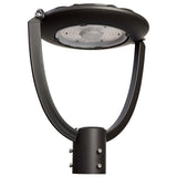 Nuvo Lighting 65-891 Post Light - Bronze