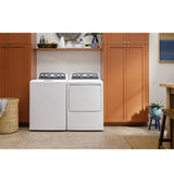 GE ETD48EASWWB electric dryer — capacity detail